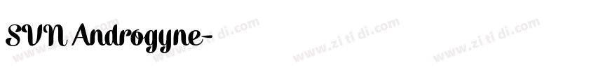 SVN Androgyne字体转换